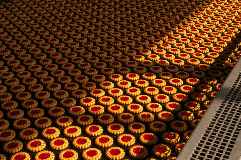 Pompe industrielle pour industrie agroalimentaire — POMPES AB