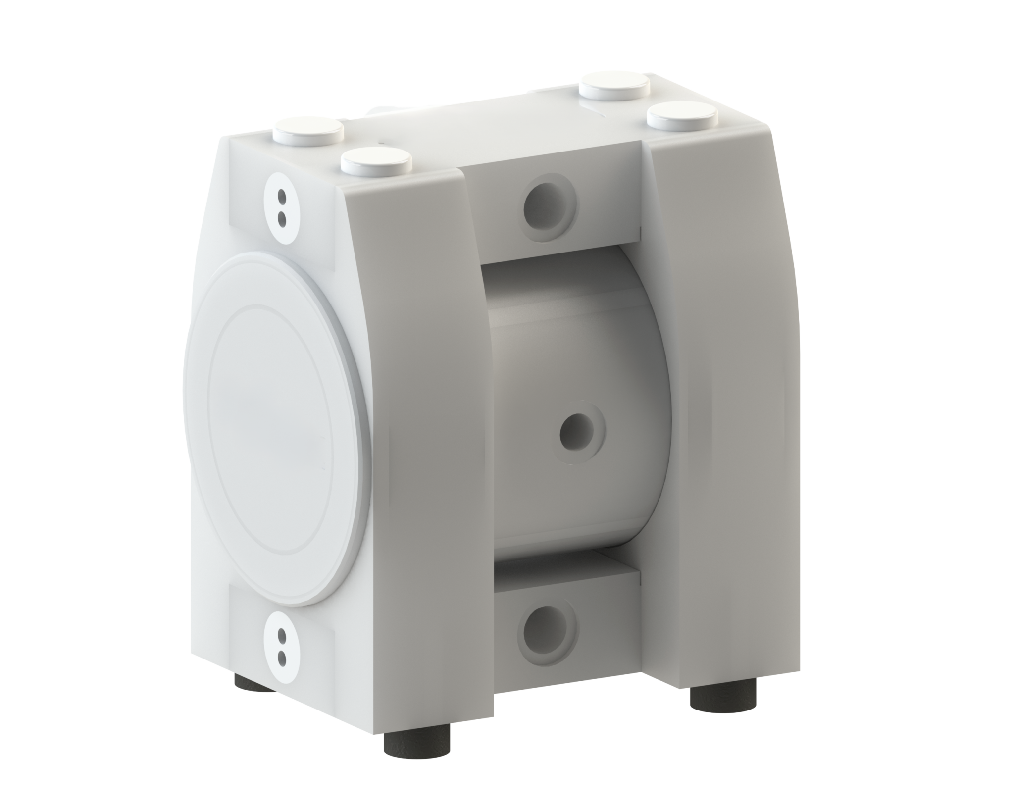 robustic-l10-ptfe-scaled.png