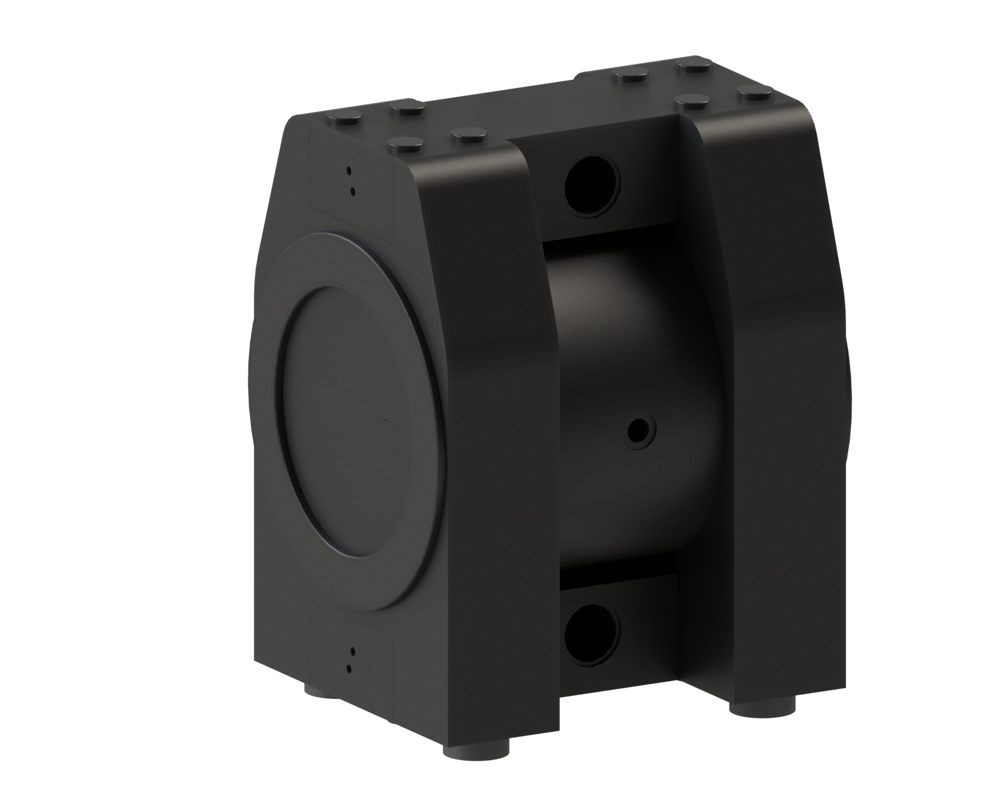 robustic-l15-pefe-cf-scaled.png